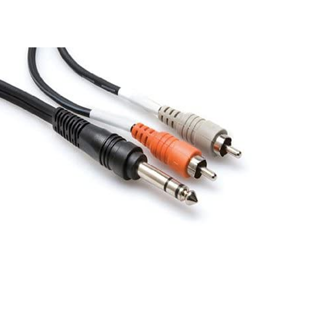 Hosa Technology TRS-203 1/4in TRS to Dual RCA, 10ft